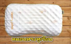 Подушка из 100% латекса Royal Latex + наволочка. / Royal Latex 100% Latex Pillow+ Pillow Case.