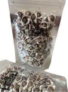Сухой чай с семенами моринги 50 г. / Dried Tea Moringa Seeds 50 g.