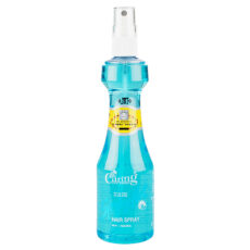 CARING Caring Spray Net спрей для укладки волос CARING SPRAY NET 220 мл/CARING Caring Spray Net hair styling spray CARING SPRAY NET 220 ml