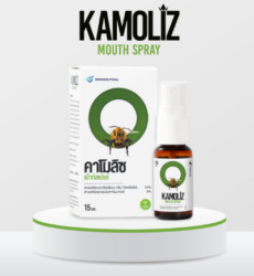 Спрей для полости рта КАМОЛИЗ 15 мл. / KAMOLIZ Mouth Spray 15 ml.